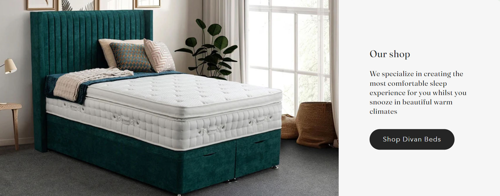 Bedding Specialty Store -Bedding Specialty Store CFHGFH
