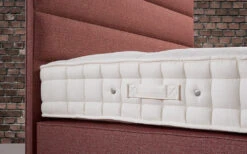 Hypnos Witney Latex Supreme Mattress, Superking 13 Hypnos Witney Latex Supreme Mattress, Superking -Bedding Specialty Store hypnos witney border closeup