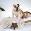 Ruff Ruff Wooden Rattan Pet Bed -Bedding Specialty Store sdp4714 0517dognew